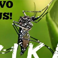 Bộ Y tế cảnh báo virus ăn não do muỗi truyền ở Việt Nam