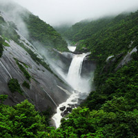 Đảo Yakushima - Di sản thiên nhiên thế giới tại Nhật Bản