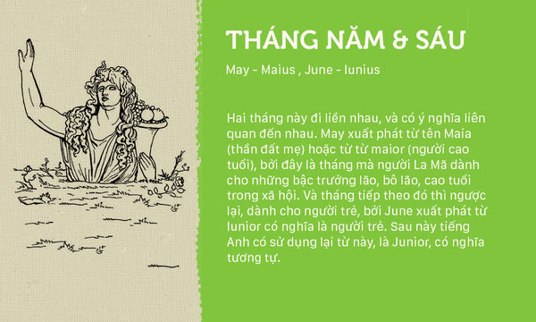 Nguồn gốc 