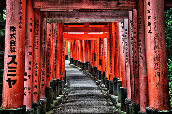 Ước tính hơn một nửa số chùa miếu, đền đài, dinh thự cổ kính của Nhật Bản tập trung ở Kyoto.