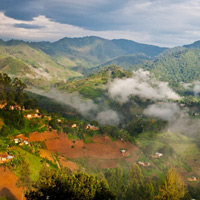 Vườn quốc gia cấm Bwindi