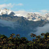 Vườn quốc gia núi Rwenzori