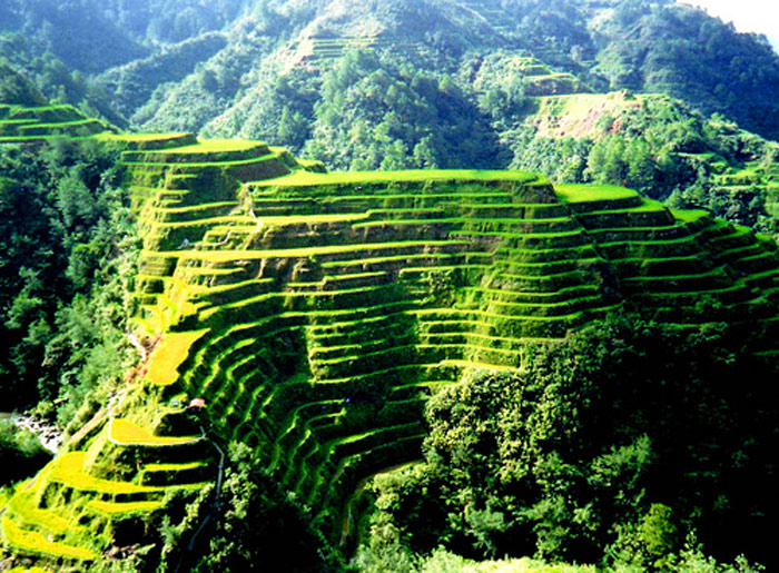 Các ruộng bậc thang tại Philippine Cordilleras