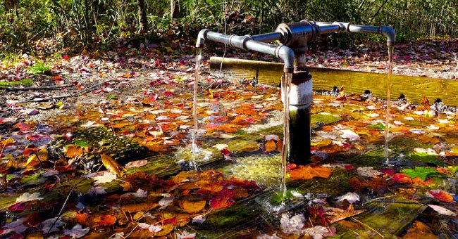 Bí ẩn những dòng suối có khả năng "cải tử hoàn sinh"?