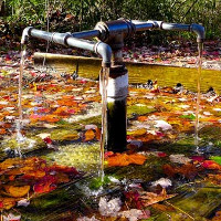 Bí ẩn những dòng suối có khả năng "cải tử hoàn sinh"?