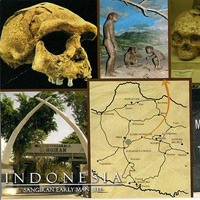 Di chỉ khảo cổ của người tiền sử ở Sangiran