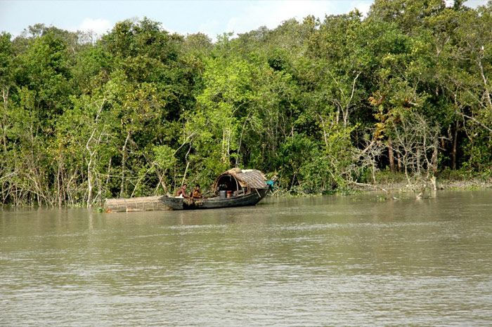 Khu bảo tồn Sundarbans