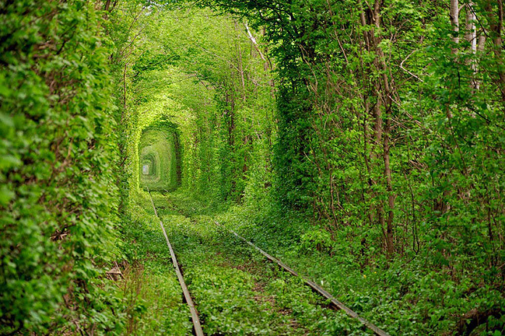 Đường hầm tình yêu ở Ukraine chính là đoạn đường sắt dài 3km tại làng Kleven, vùng Rivne