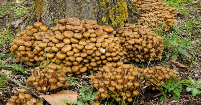 Tổng kết tin tức hay nhất tuần 02/01