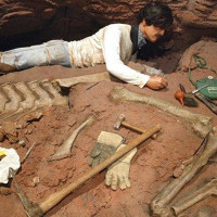 Phát hiện hóa thạch khủng long khổng lồ tại Argentina