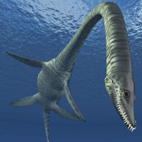 Quái vật biển cổ dài ở Anh có thể là loài khủng long mới