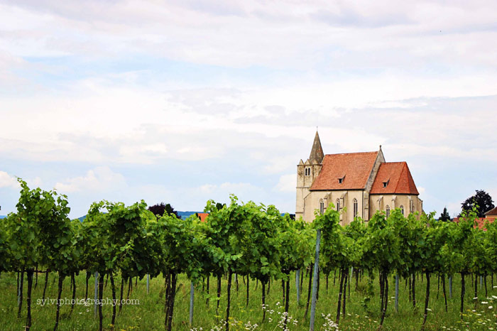 Cảnh quan văn hóa Wachau