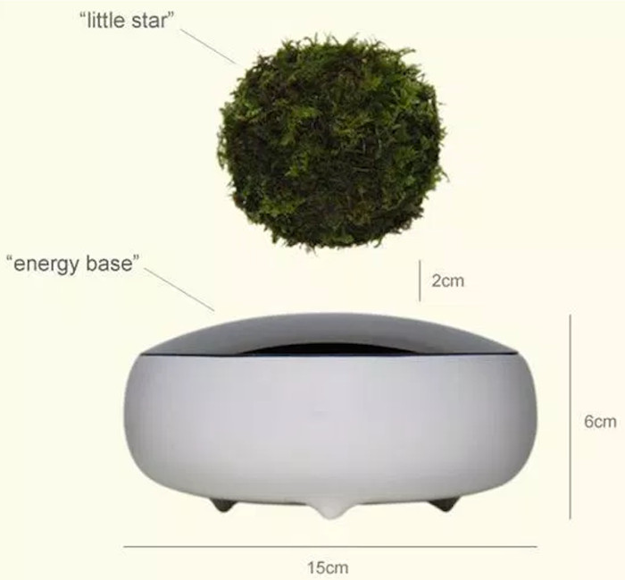 Độc đáo cây bonsai bay lơ lửng trên không