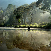 Vườn quốc gia Gunung Mulu