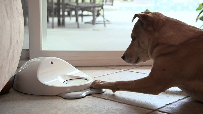 Có thể gọi, đây là chiếc máy điện tử tay cầm đầu tiên dành riêng cho cún cưng.