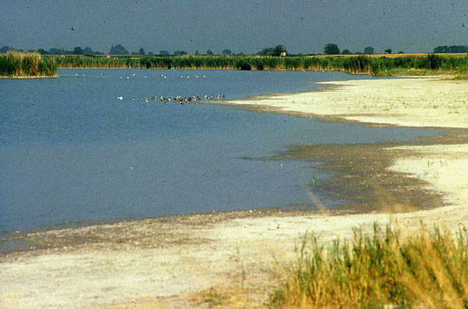 Cảnh quan văn hóa Ferto/Neusiedler