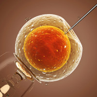 Chính phủ Anh cho phép thử nghiệm kỹ thuật biến đổi gene trên phôi thai người