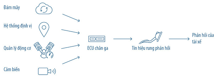 Chân ga thông minh giúp tiết kiệm nhiên liệu và cảnh báo an toàn cho tài xế