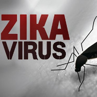 Tại sao WHO lo sợ Zika hơn cả dịch Ebola?