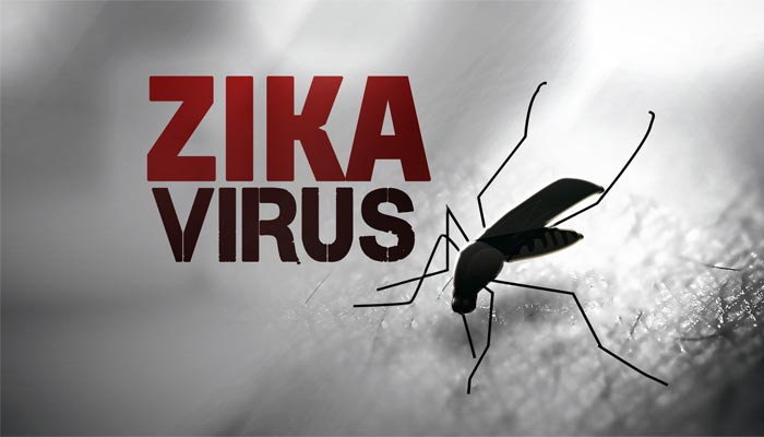 Tập trung nguồn lực đối phó dịch bệnh Zika là một bước đi cần thiết của WHO.