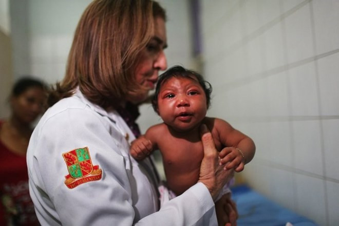 Không phải Zika mà hóa chất của Monsanto gây teo não?