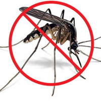 Phun thuốc diệt muỗi coi chừng ngộ độc