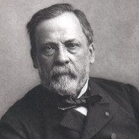 Louis Pasteur - Cha đẻ ngành vắc xin chưa bao giờ học y