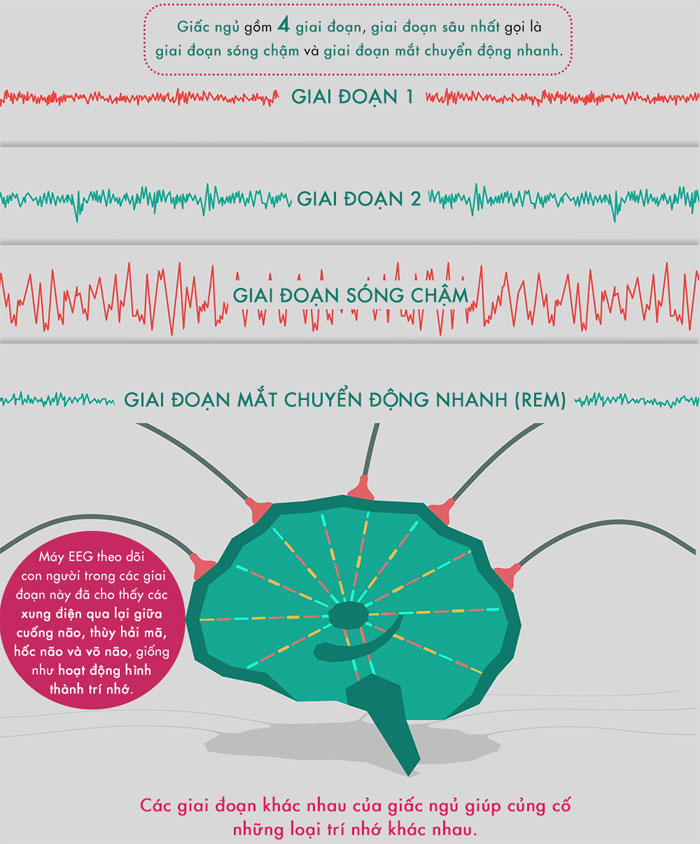 Lợi ích của giấc ngủ ngon