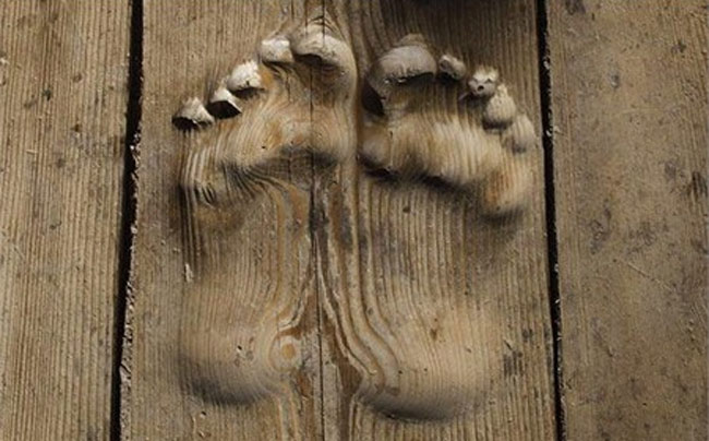 Hai dấu chân rõ ràng in trên tấm gỗ