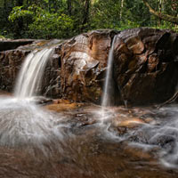 Khu quần thể rừng Dong Phaya Yen – Khao Yai