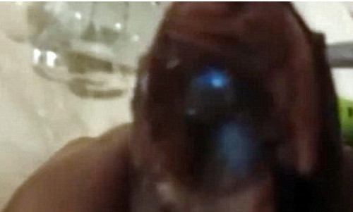 Ánh sáng xanh phát ra từ bụng cá trích.