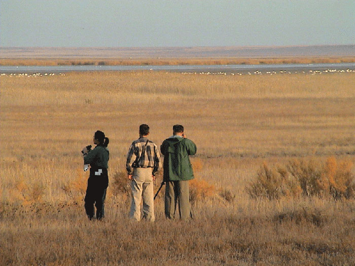 Saryarka- Các hồ và vùng thảo nguyên phía bắc Kazakhstan