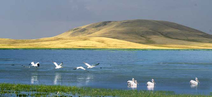 Saryarka- Các hồ và vùng thảo nguyên phía bắc Kazakhstan