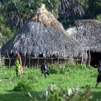 Các khu rừng Kaya của người Mijikenda