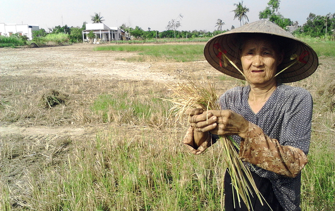 Thiên tai nghiêm trọng nhất 100 năm đang hoành hành miền Tây