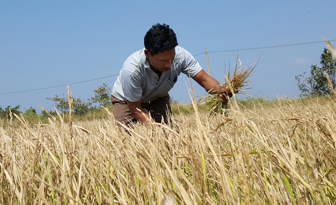Thiên tai nghiêm trọng nhất 100 năm đang hoành hành miền Tây
