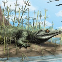 Hóa thạch 250 triệu năm tuổi của tổ tiên cá sấu