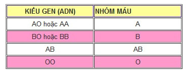 Xác định huyết thống theo nhóm máu