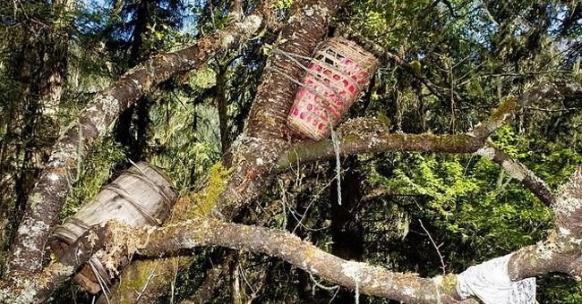 Mục đích ít ai biết của tục thụ táng trên cây