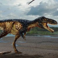 Phát hiện bằng chứng giải thích sự tiến hóa của khủng long bạo chúa