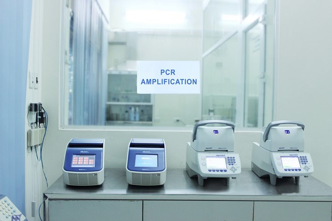 Sau khi ADN được tách chiết, các kỹ thuật viên sẽ thực hiện phản ứng PCR nhân ADN đặc hiệu.