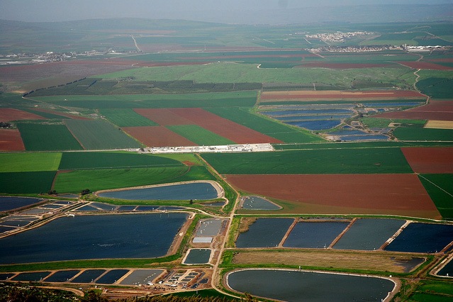 Kibbutz và Moshav Những mô hình làm nên kỳ tích nông nghiệp và phát triển  nông thôn ở Israel