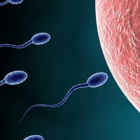 Cơ chế kiểm soát hoạt động của tinh trùng, hứa hẹn thuốc tránh thai dành cho nam
