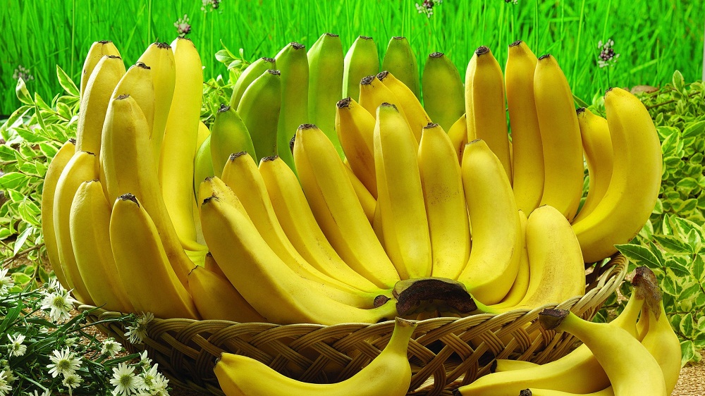 Top 9 thực phẩm giúp bạn lấy lại năng lượng cực nhanh!