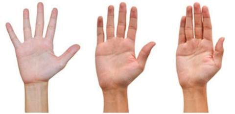 Bạn biết gì qua khoảng cách giữa các ngón tay?