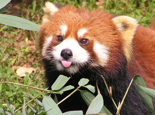 11 sự thật nghe qua có vẻ vô nghĩa nhưng nếu biết thì cũng tốt