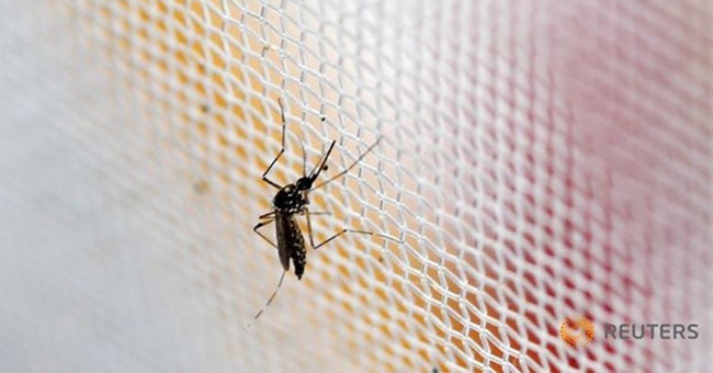 Hàn Quốc xác nhận ca nhiễm virus Zika đầu tiên