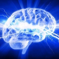 10 điều về trí não “tưởng vậy mà không phải vậy”