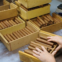 Quy trình sản xuất điếu xì gà trứ danh ở Cuba