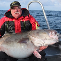 Cụ ông người Anh câu được cá tuyết 42 kg